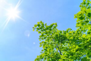 🌿夏前カットで爽快に！軽やかヘア特集✂️|髪工房ヒロミ岩倉市|“男を磨く” 大人のヘアサロン。髪質や頭皮ケア・スキンケア・炭酸泉シャンプー・ヒアルロン酸シェービング・ヘッドスパ